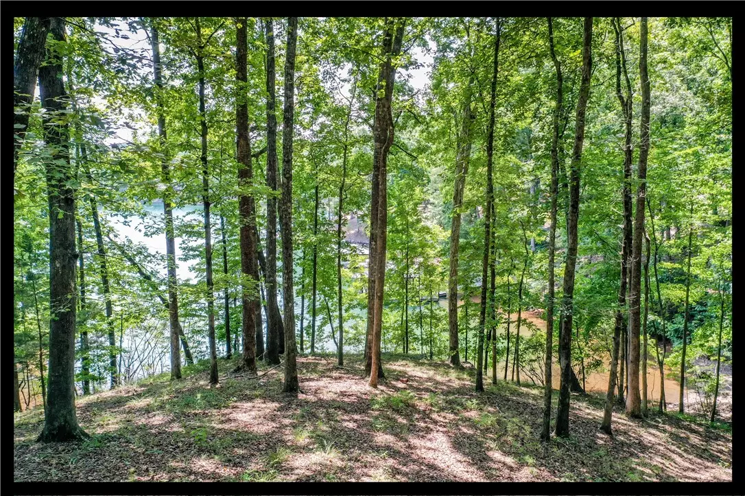 Salem, SC 29676,Lot 62 Hearthstone WAY
