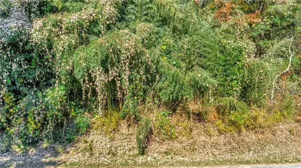 Fair Play, SC 29643,0 Arrington DR