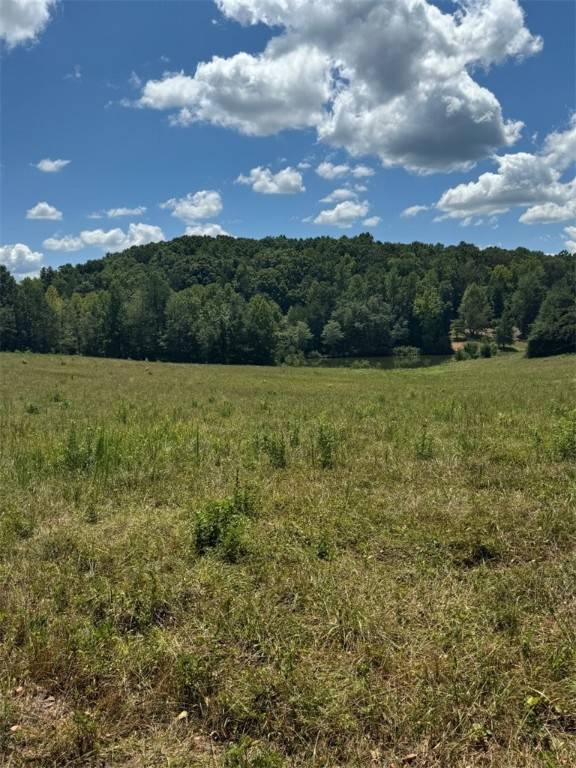 Liberty, SC 29657,Tract 1 Five Forks RD