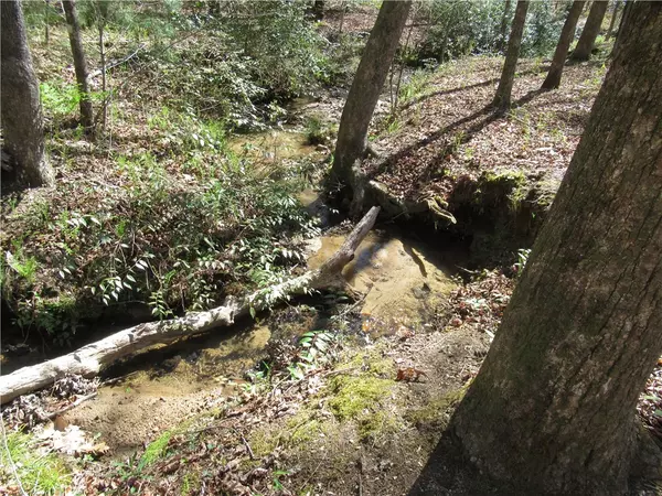 Cleveland, SC 29635,159 Shepherd Springs DR