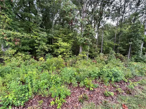 Clinton, SC 29325,0 Dogwood CIR
