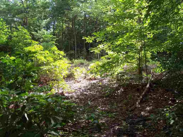 Cleveland, SC 29635,8 Woods Pond Crt Woods Pond CT