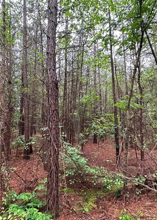 Westminster, SC 29693,1299 Singleton RD