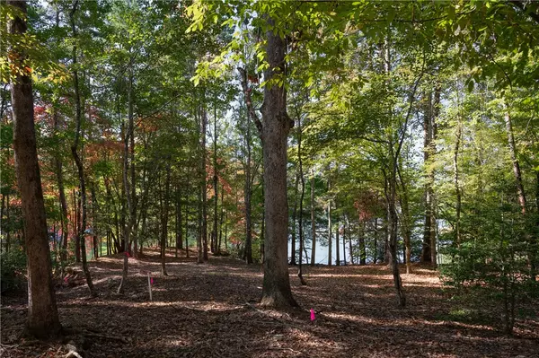 Sunset, SC 29685,Lot 13 Village View DR