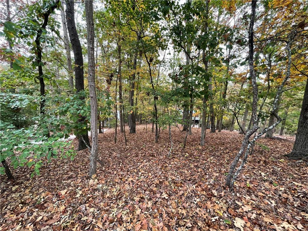 Westminster, SC 29693,150 Indian Hills Drive DR