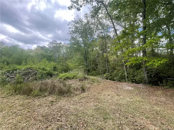 Mountain  Rest, SC 29664,31 A Bonner RD