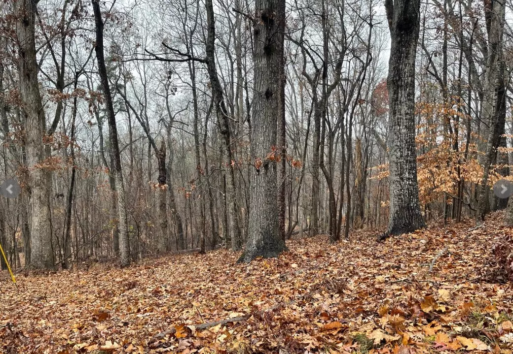 Westminster, SC 29693,Lot 2134 S Arrowhead DR