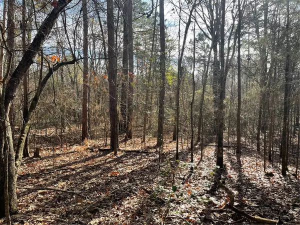 Elberton, GA 30635,Lot 16 Anderson HWY