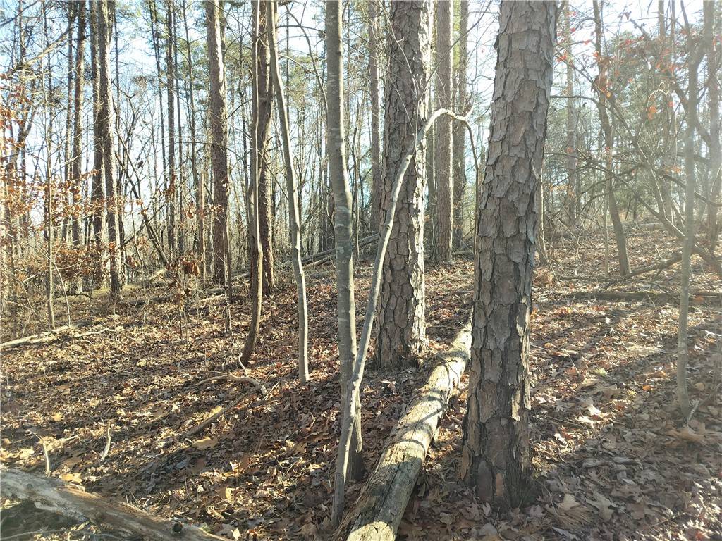 Westminster, SC 29693,343 Beech DR