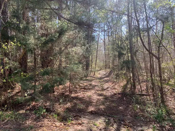 Abbeville, SC 29620,0 Dogwood LN