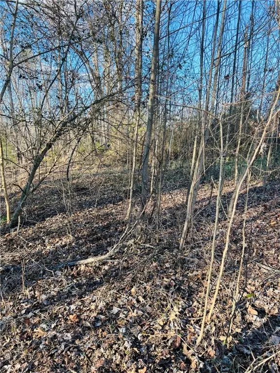 Pickens, SC 29671,107 Lesley DR
