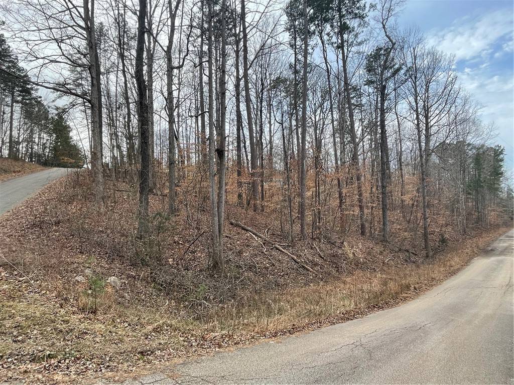 Martin, GA 30557,18 S Buckskin TRL