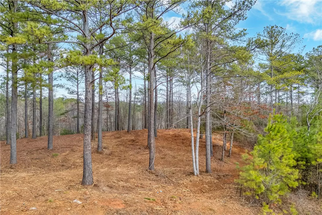 Sunset, SC 29685,321 Golden Bear DR