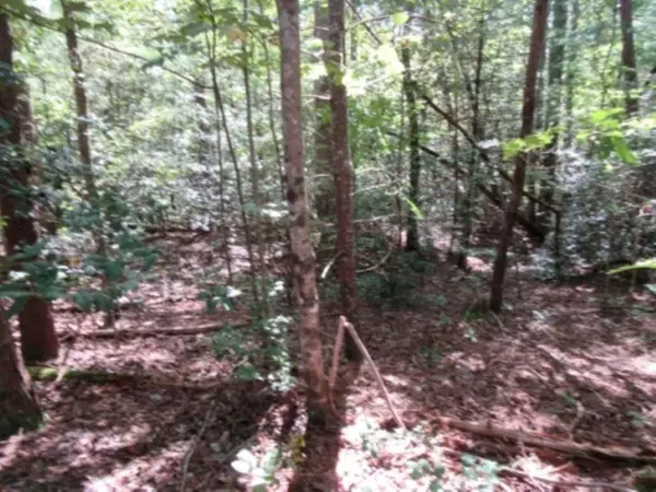 Pickens, SC 29671,122 Hambys WAY