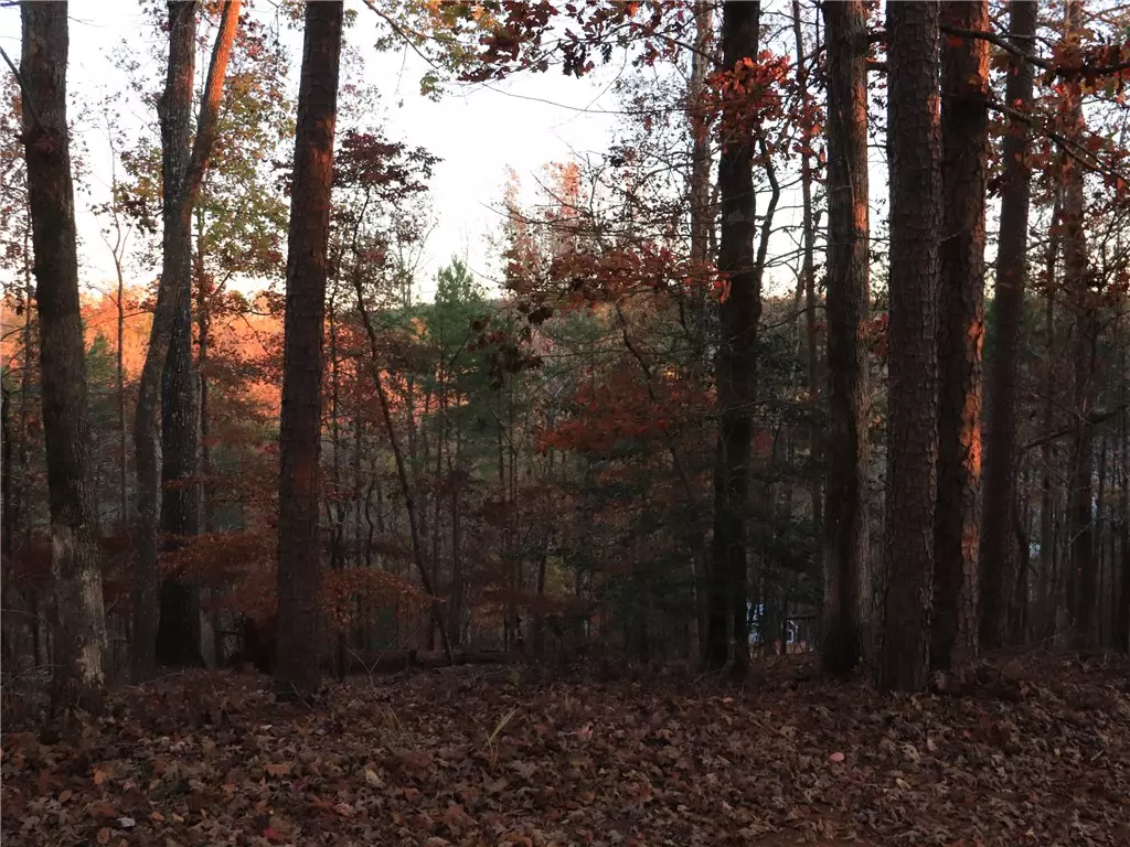 Sunset, SC 29685,122 Summit Pine DR