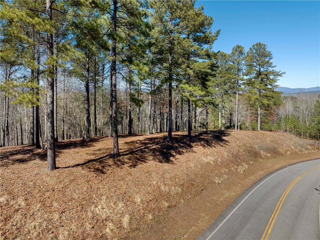 Salem, SC 29676,Lot 60 Cliffs South Pkwy