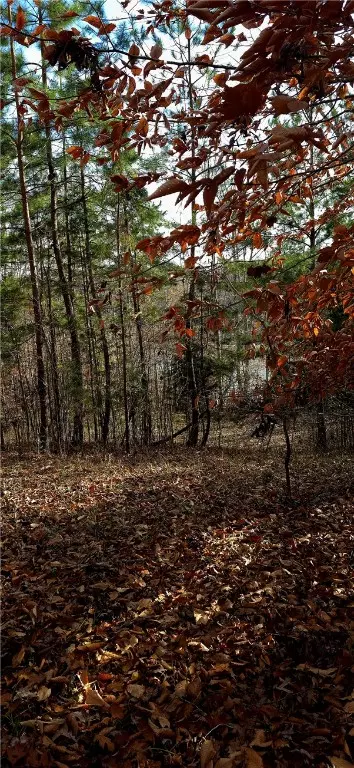 Anderson, SC 29621,154 Latham DR
