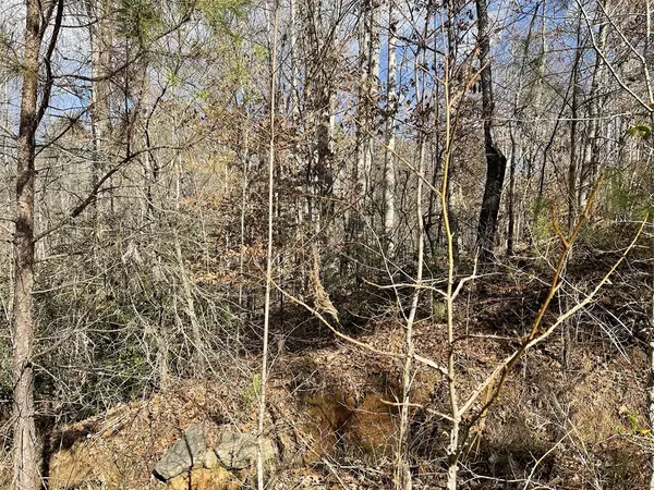 Westminster, SC 29693,161 Chauga Shoals DR