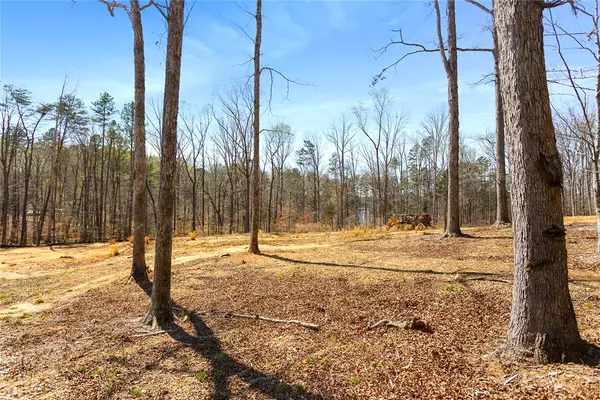 Westminster, SC 29693,605 Elizabeth (Lot 2) RD
