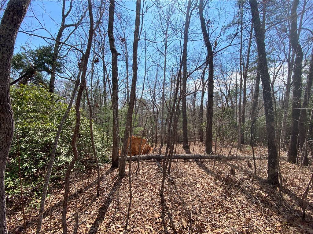 Salem, SC 29676,Lot 107 Fernwood DR