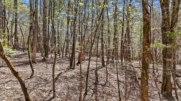 Seneca, SC 29678,250 Meldau RD
