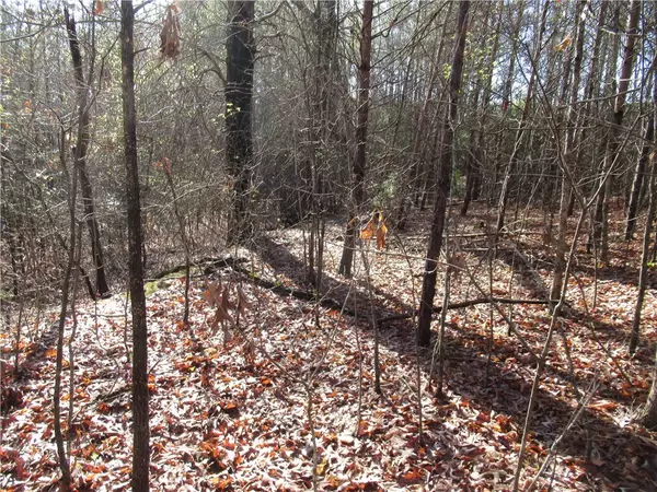 Easley, SC 29640,00 Amberway DR