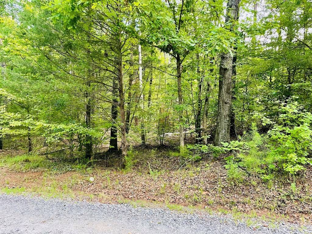 Abbeville, SC 29620,00 Lake Forest DR