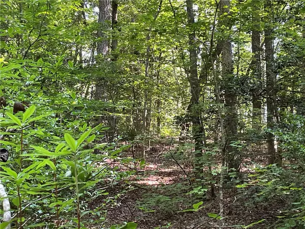 Tamassee, SC 29686,00 Whitewater Point RD
