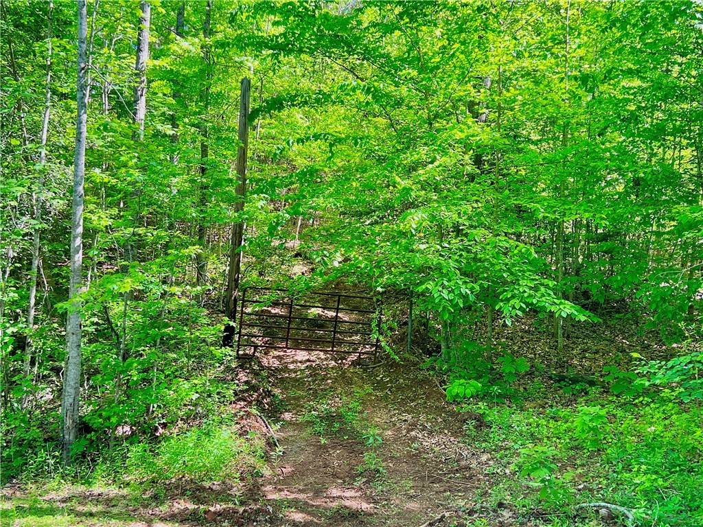 Tract Q The Bear BLVD, Tamassee, SC 29686