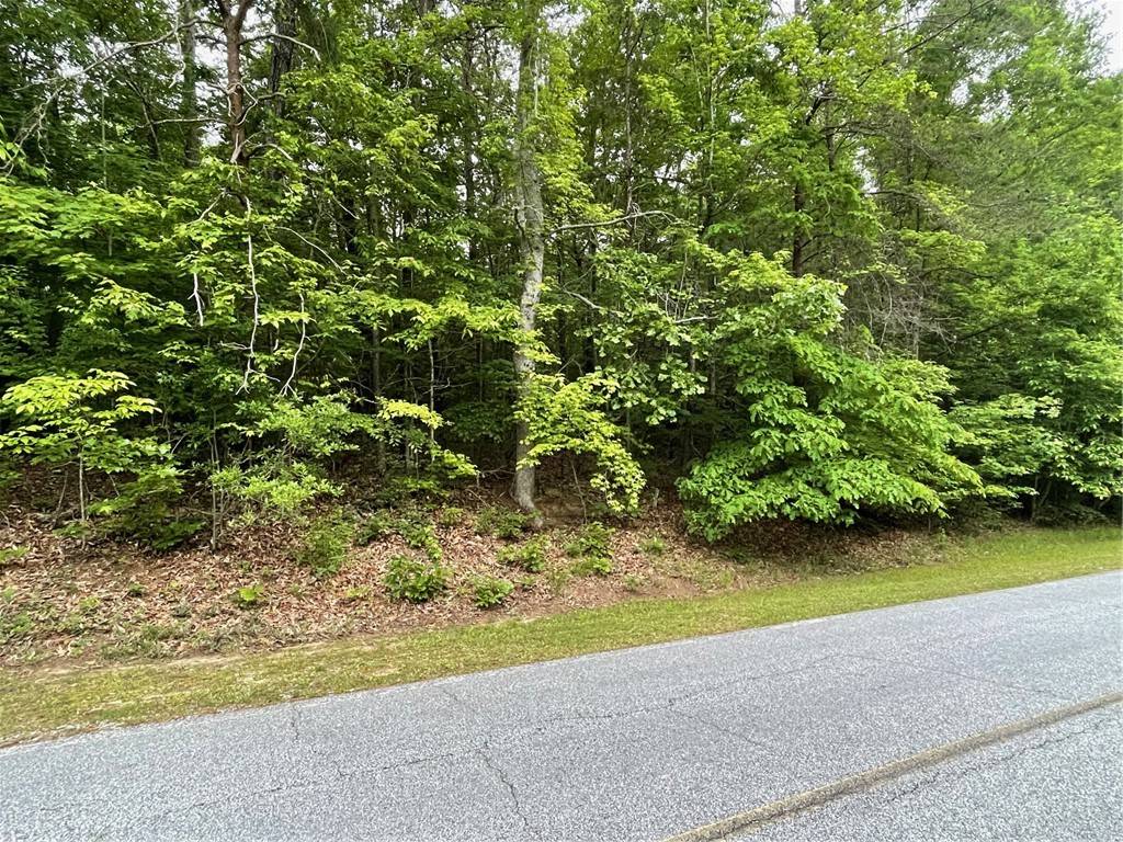 Westminster, SC 29693,0 Point RD #Lot 515