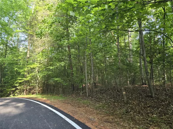 Westminster, SC 29693,Lot 1061 N Hogan DR