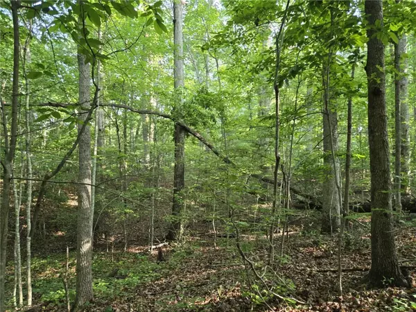 Westminster, SC 29693,Lot 1061 N Hogan DR