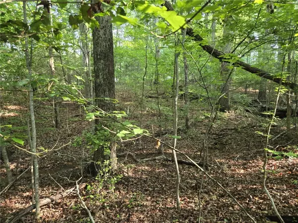 Westminster, SC 29693,Lot 1061 N Hogan DR