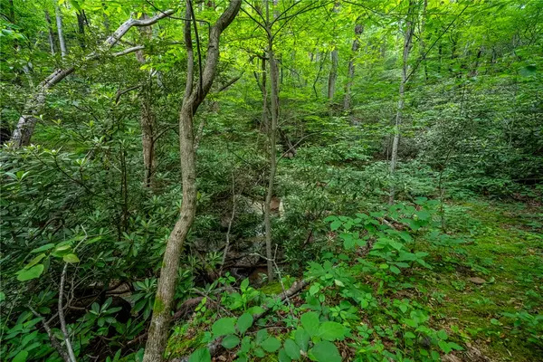 Landrum, SC 29356,76 Southview Ledge RD