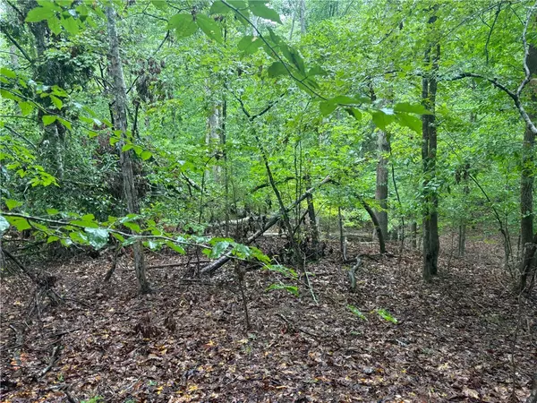 0 Lake Forest DR, Abbeville, SC 29620