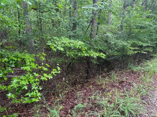 Abbeville, SC 29620,0 Lake Forest DR