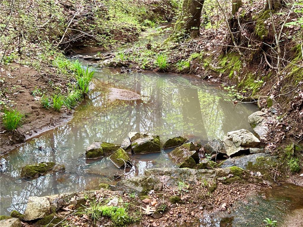 Calhoun Falls, SC 29628,0 81 north HWY