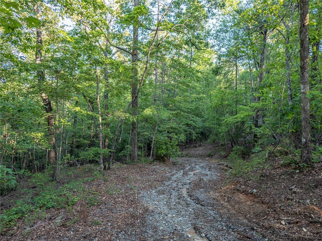 Sunset, SC 29685,Lot 22 Old Shallowford Bridge RD