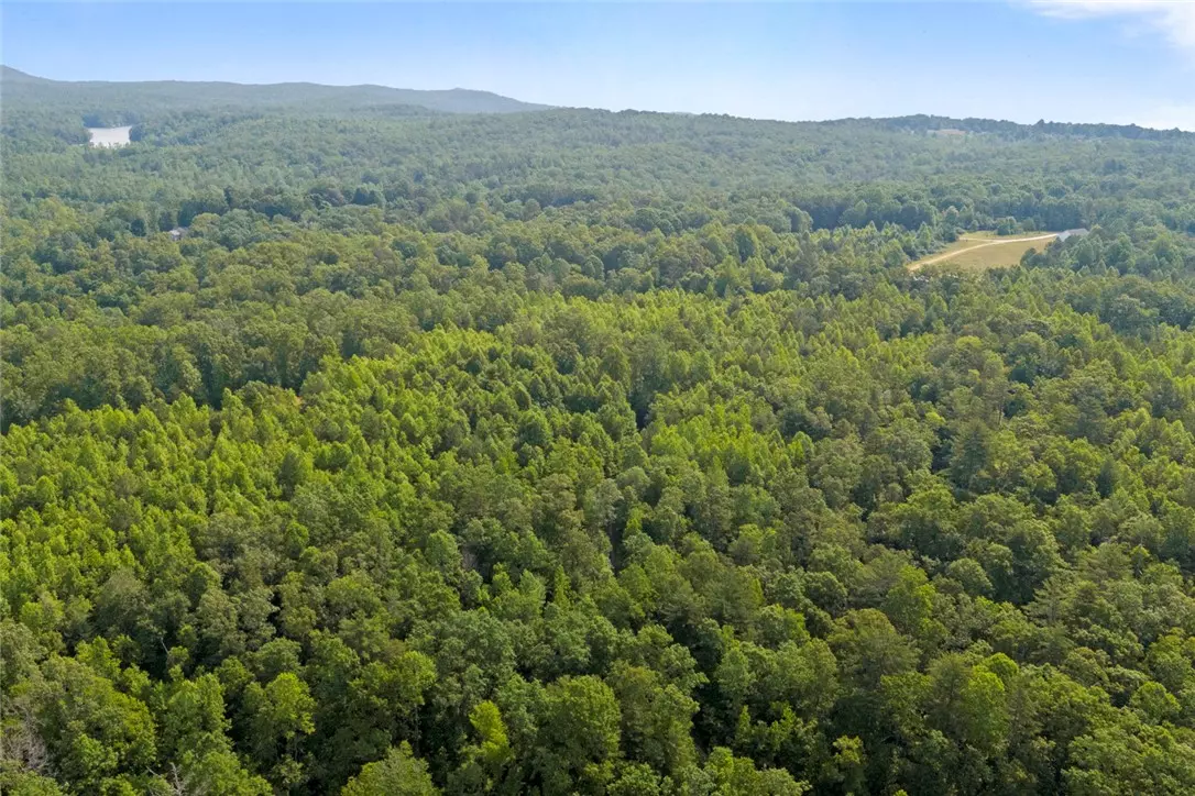 Mountain  Rest, SC 29664,00 Homeland (14.77 Acres) DR