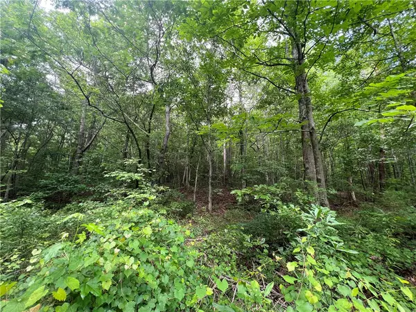 Easley, SC 29642,0 Old Pendleton RD