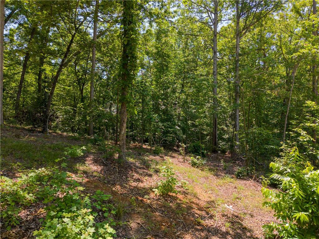 507 Viewpoint CT #22, Seneca, SC 29672