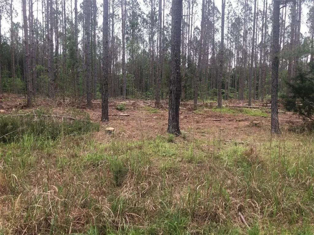 Iva, SC 29655,0 MIKE MCCONNELL AVE