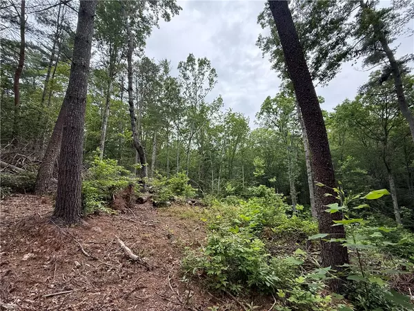 Pickens, SC 29671,318 Gauley Falls RD