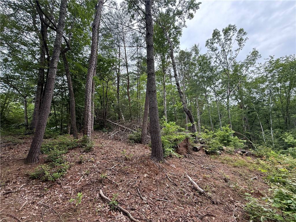 Pickens, SC 29671,318 Gauley Falls RD