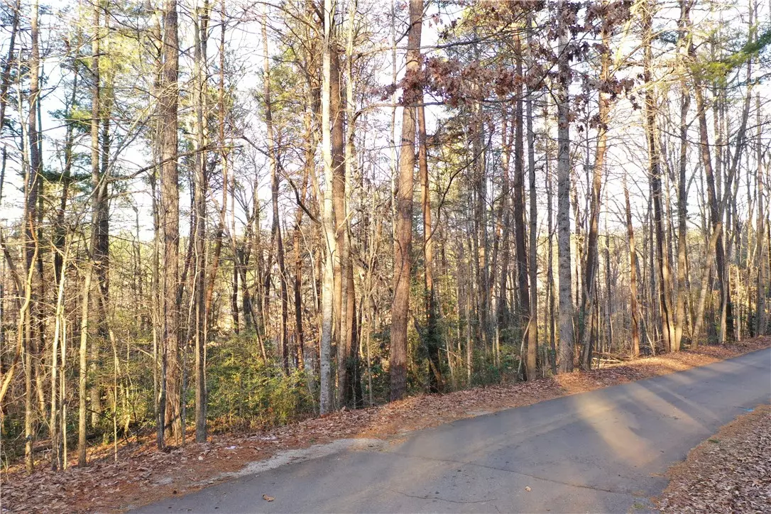 Tamassee, SC 29686,613 The Bear BLVD