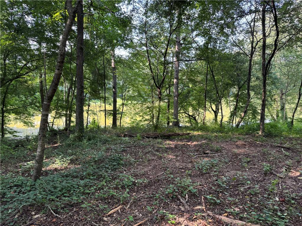 Westminster, SC 29693,Lot 26 Arrowhead Lake TRL