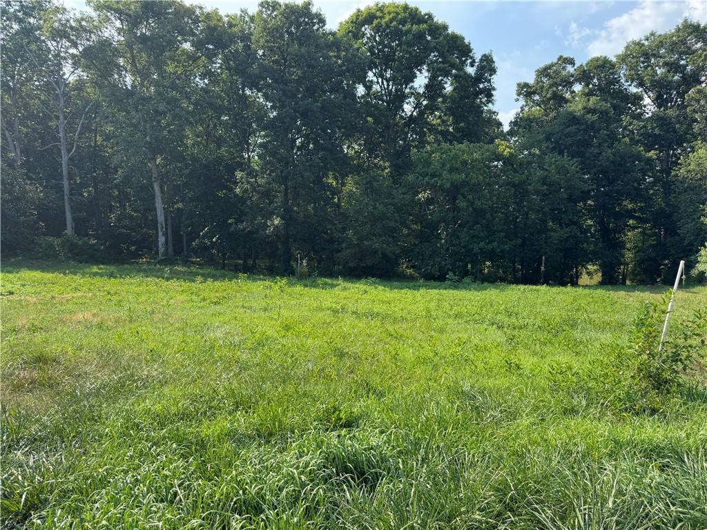 Westminster, SC 29693,Lot 26 Arrowhead Lake TRL