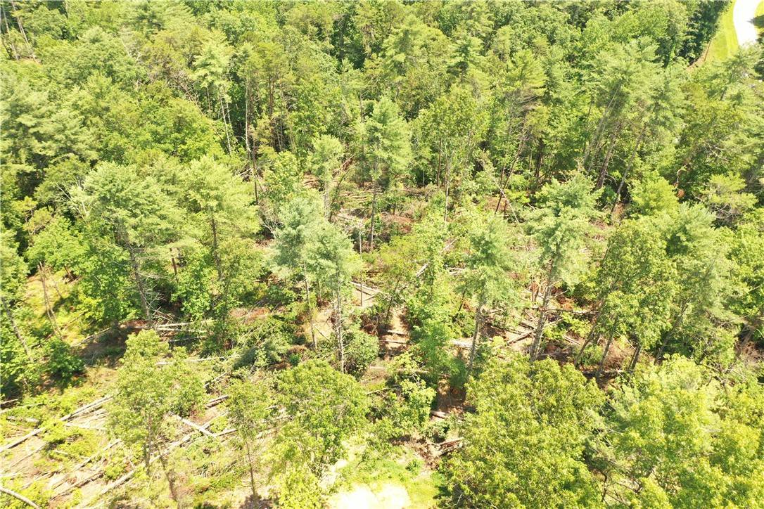 Sunset, SC 29685,113 Sweetshrub CT