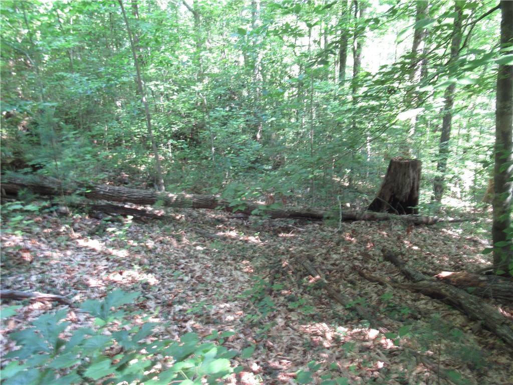 00 Gauley Falls RD, Pickens, SC 29671