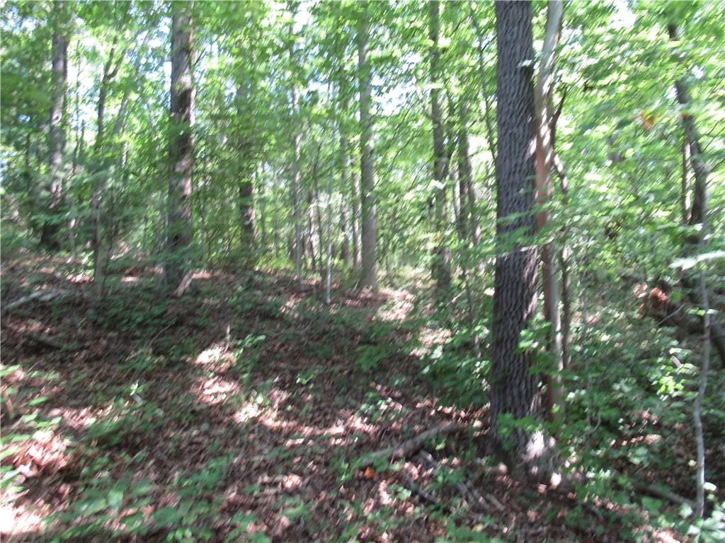 Pickens, SC 29671,205 Gauley Falls RD